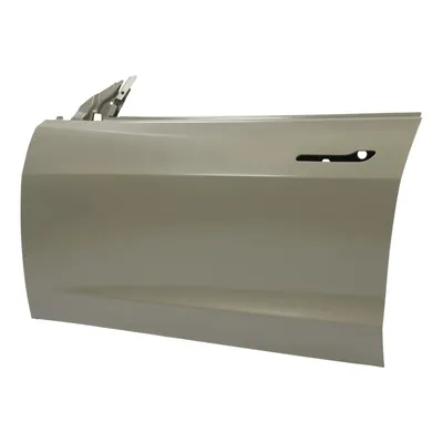 TESLA Model 3 Front Door LH RH