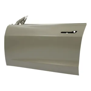 TESLA Model 3 Front Door LH RH